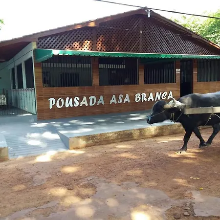 Pousada Asa Branca-3